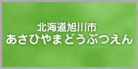 旭山動物園